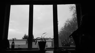 BLACK WINDOWPANE SESSION I • Miike Snow - "Longshot (7 Nights)"