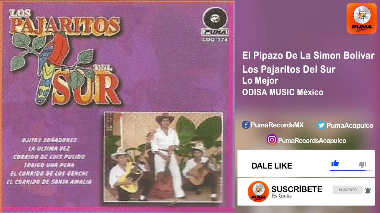El Pipazo De La Simon Bolivar - Los Pajaritos Del Sur - Lo Mejor