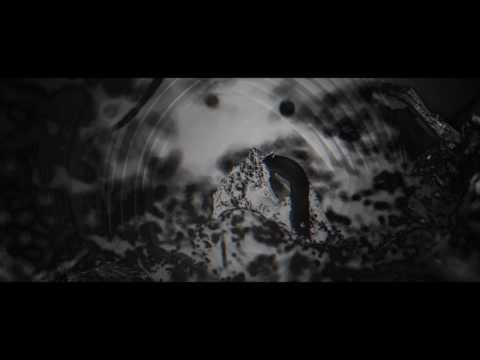 Shaknis - Fast Forward