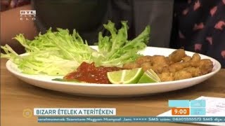 RTL Reggeli - Vajon Annáék lenyelik a békát?
