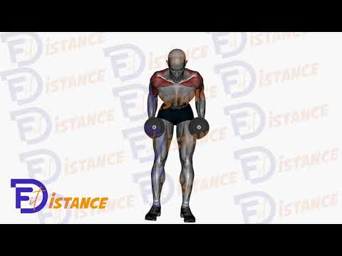 Exercice Rowing unilatéral avec haltère