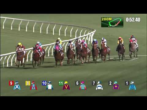 17/3/2021 (516) Kurpany - J Moreira
