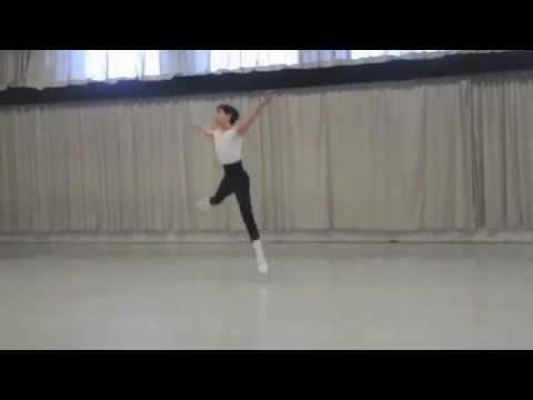 Vinicius Silva - La Sylphide