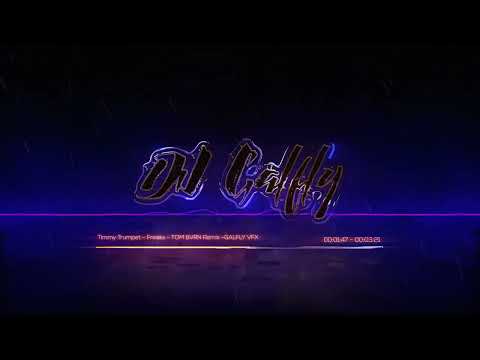 Timmy Trumpet - Freaks - TOM BVRN Remix - GALFLY VFX