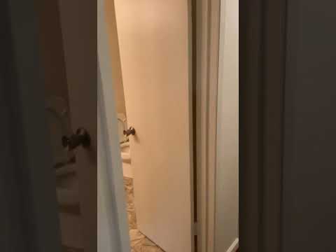 Chateau Apartments - Video 2 of 2