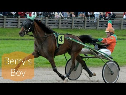 Berry's Boy