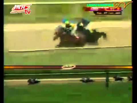 VALENCIA 11 CARRERA VIERNES 07 DE NOVIEMBRE DEL 2014