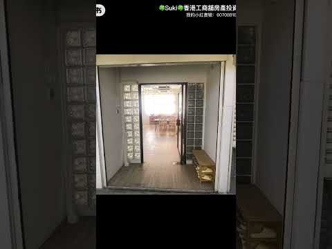 骆驼漆大厦 Youtube Video