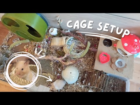 Setting up my Hamster's Enclosure 🌷 Cage setup