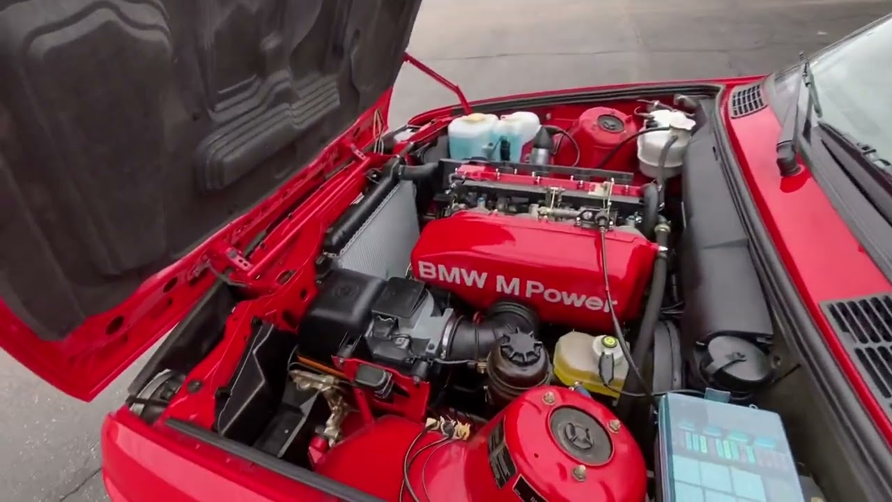 Rare BMW E30 M3 Johnny Cecotto Walk Around