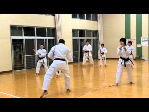 Learn Anan Kata Hajimate の流れを覚える Pure hearts Seishinkai Karate.