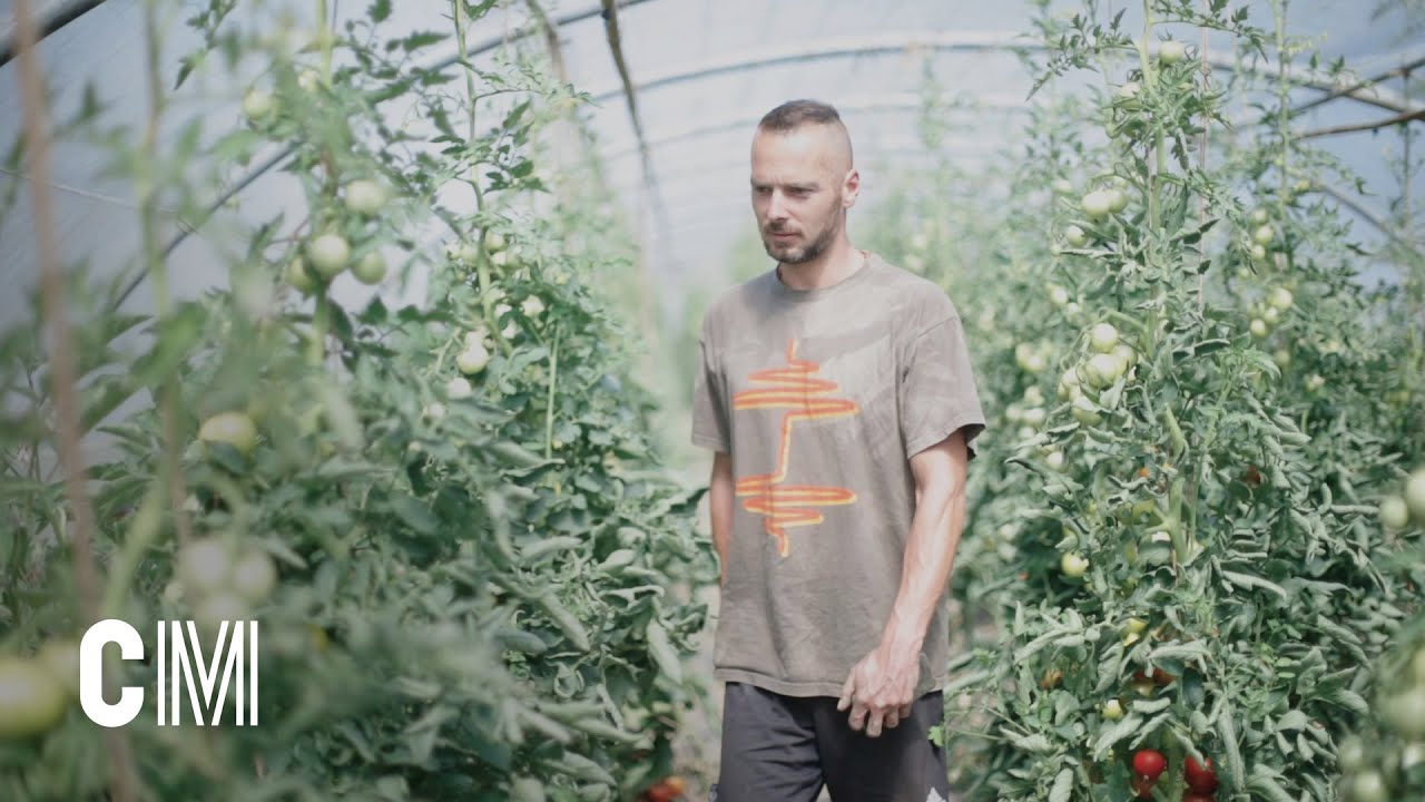 Le panier de légumes : sain, durable et créateur de lien social