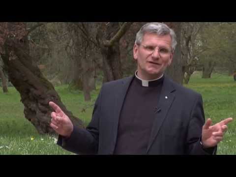 Folge 11: Zölibat - Warum denn das?