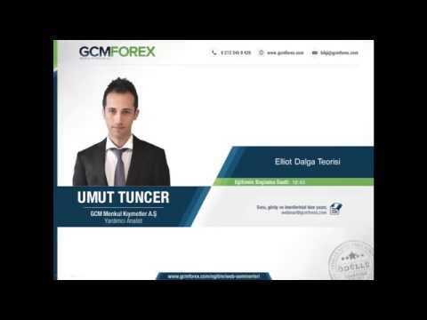 Elliot dalga teorisi forex