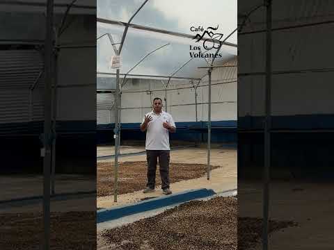 adelanto la granea del cafe28