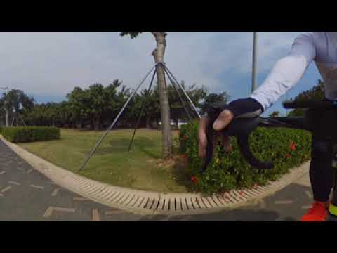 2023.2.16 Distrito de Nanshan-Baía de Shenzhen