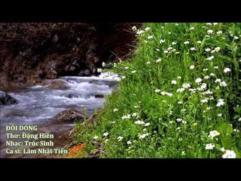 Đôi dòng - Lâm Nhật Tiến