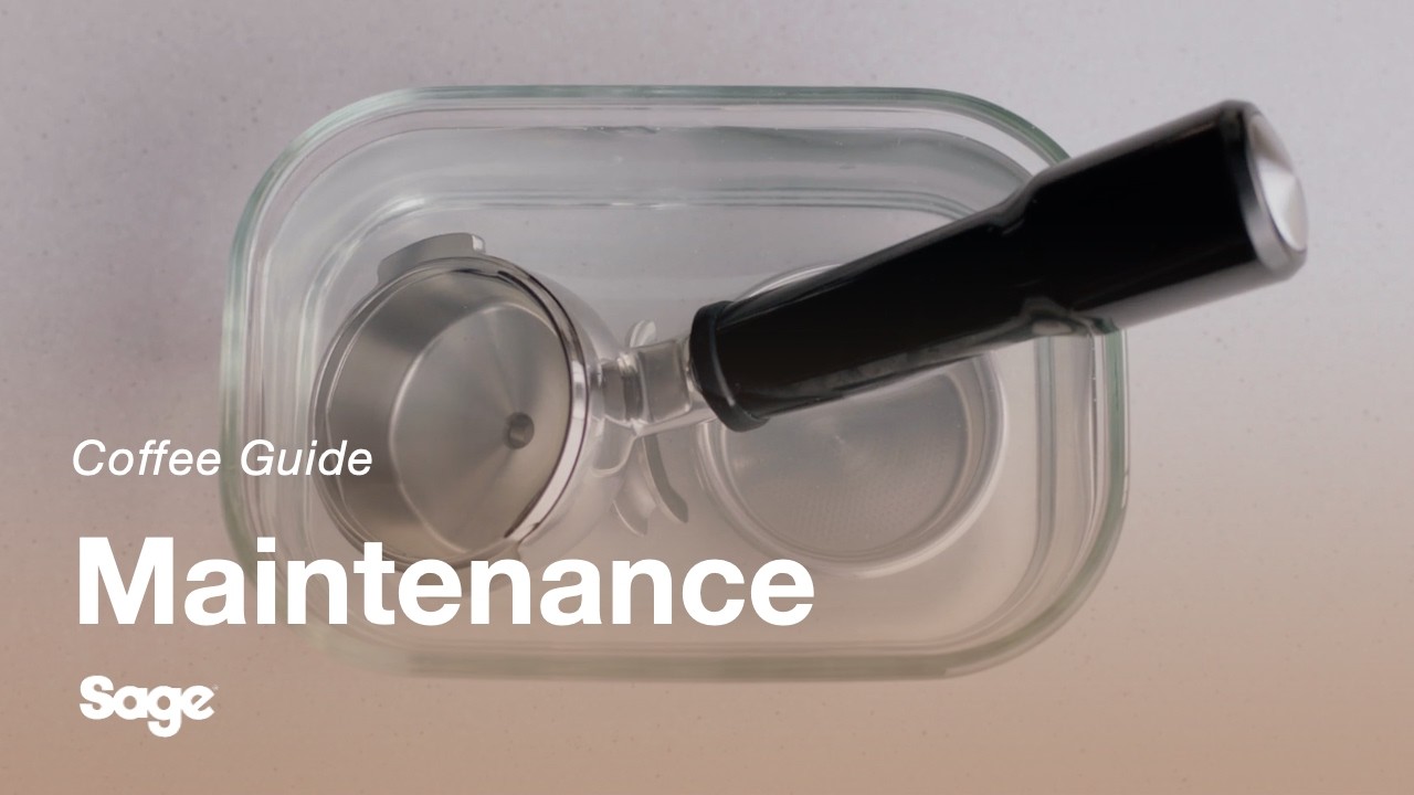 How to clean portafilter and filter basket