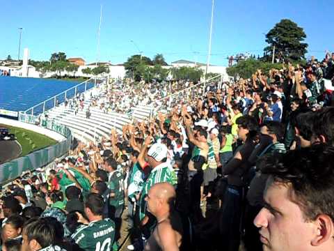 CATANDUVENSE X PALMEIRAS - TORCIDA EMPURRANDO O TIME