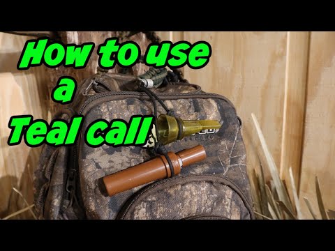 Duck Hunting- How to blow a Teal call