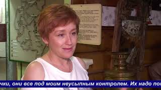 Ночь музеев -2020