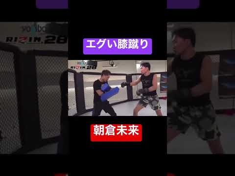 【朝倉未来】エグい膝蹴り #rizin #mma #shorts #朝倉未来