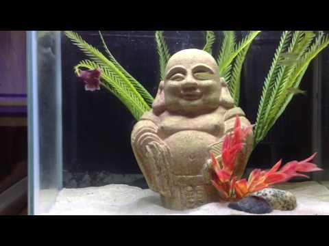 20L JAPANESE FIGHTER TANK GETS NEW LIGHTS!!!