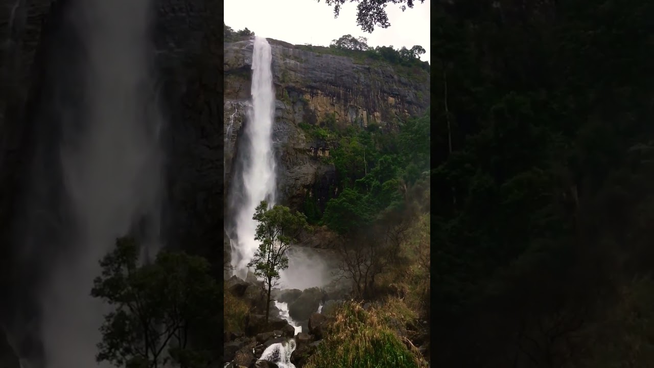 YouTube Short thumbnail