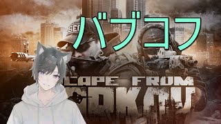 【Escape From Tarkov】バブがダッシュしても所詮ハイハイ