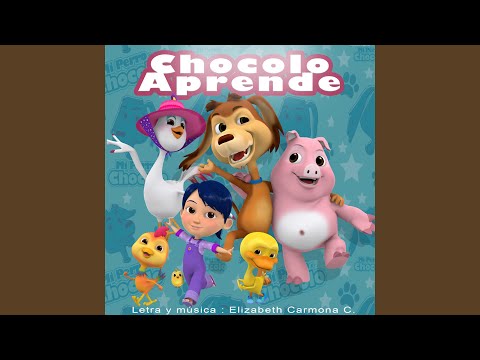 Mi perro Chocolo no quiere comer