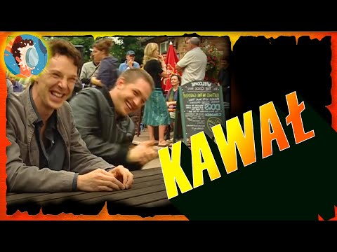 W poszukiwaniu idealnej partnerki