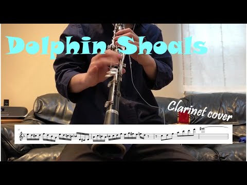 Mario Kart 8 "Dolphin Shoals" Full Transcription on Clarinet(Bb)