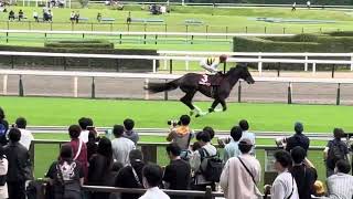 #dance  未来のダービー馬を探しに①in 東京競馬場🏇
