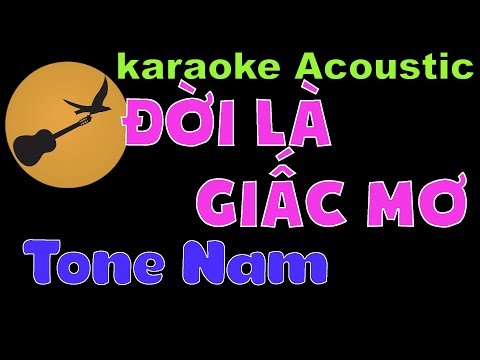 ĐỜI LÀ GIẤC MƠ Mỹ Tâm Karaoke Tone Nam