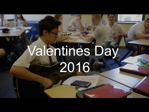 Valentines Day 2016 Highlights