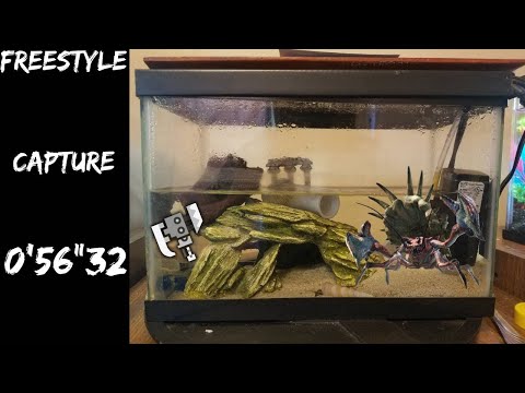 MHR:SB [Switch] FS SA Daimyo Hermitaur 0'56'32 | Uninvited Guest