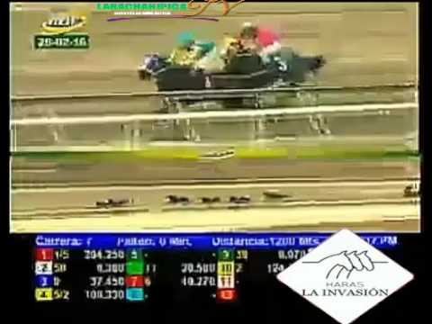 LA RINCONADA 7 CARRERA, DOMINGO 28 DE FEBRERO DEL 2016