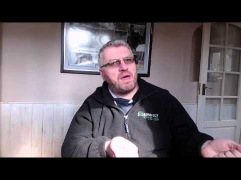 Havers Dog Behaviour video.