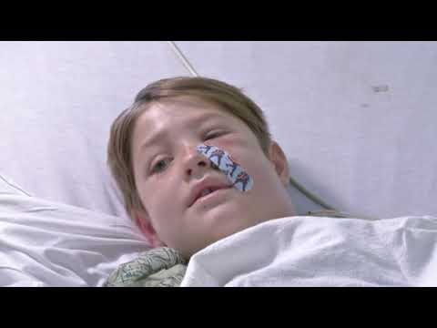 A 10-year-old Missouri boy is recovering after he was attacked by insects and tumbled from a tree, landing on a meat skewer that penetrated his skull from his face to the back of his head. Doctors called Xavier Cunningham's survival "miraculous." (Sept. 12)