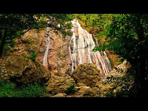 1 Hour Relaxing Pan Flute Music For Sleep, Meditation, Stress Relief With Rain And Birds, NO ADS