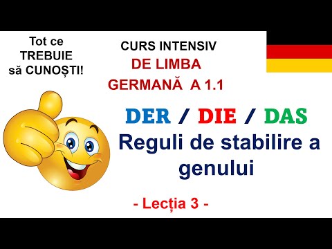 Intensive Course A1.1 DER / DIE / DAS? How do we determine the article of the noun? Lesson 3