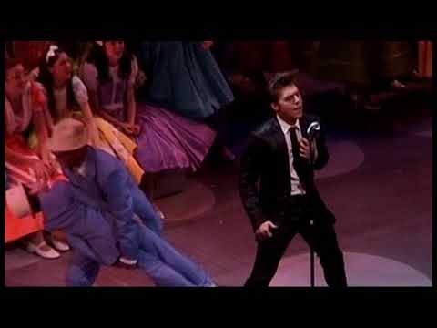 Thumbnail for Honestly Sincere (Nolan Gerard Funk, BYE BYE BIRDIE Revival 2009) by Colleen Fitzpatrick