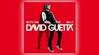 David Guetta &amp; Afrojack - I Just Wanna F (ft. Timbaland &amp; DEV) (Audio)
