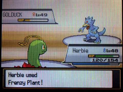 Pokemon Heart Gold / Soul Silver Walkthrough Part 65