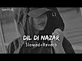 Dil Di Nazar Maine Pyaar Kyun Kiya Slowed Reverb ️