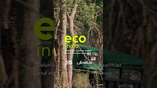 Watch why getting rid of invasive plant species is important. #environment