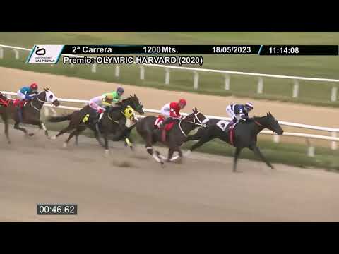 230518 c02 - CATALINA BOSS (ARG) - HIPODROMO LAS PIEDRAS