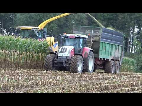 Krick - Dewulf: Mais hakselen.