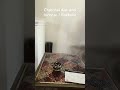 Charcoal disc and Incense / Bakhoor , runs for 20 minutes , creates good smell. #travel #trending