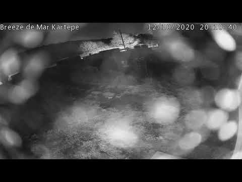 Breeze de Mar Kartepe Canlı Yayını